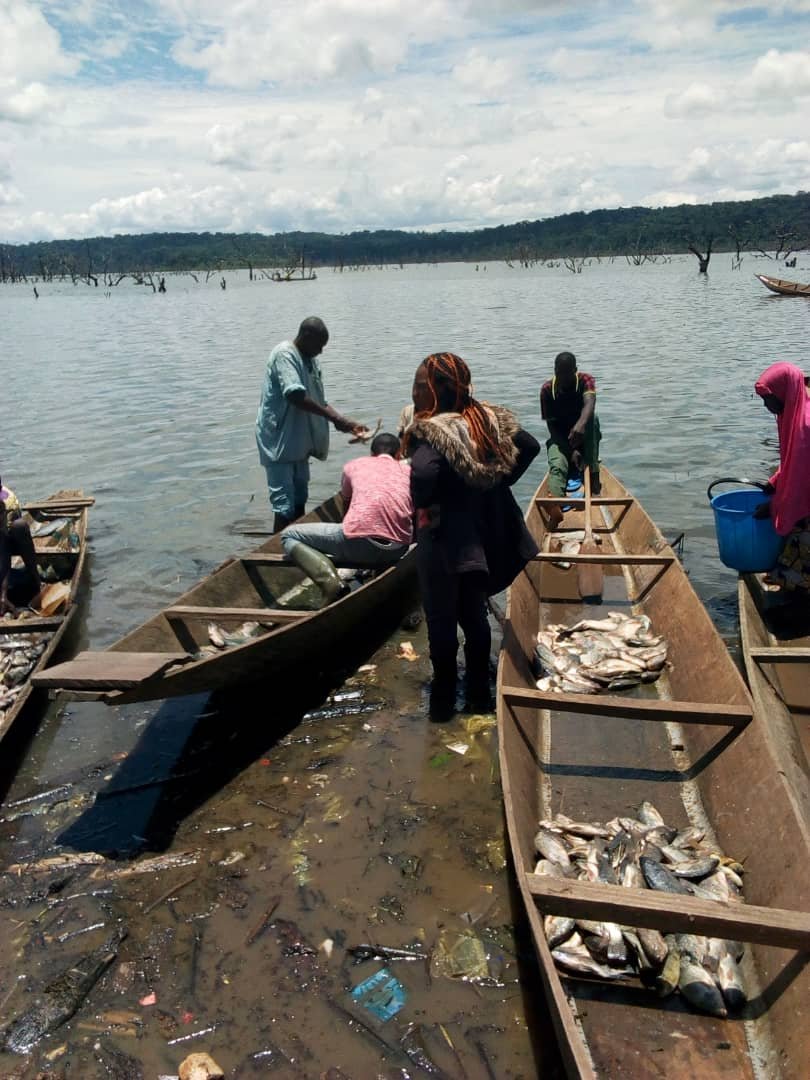 whatsapp image 2022 09 19 at 12.44.43