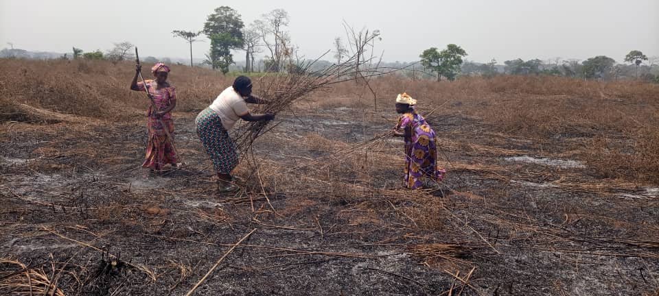 whatsapp image 2022 09 19 at 12.44.48