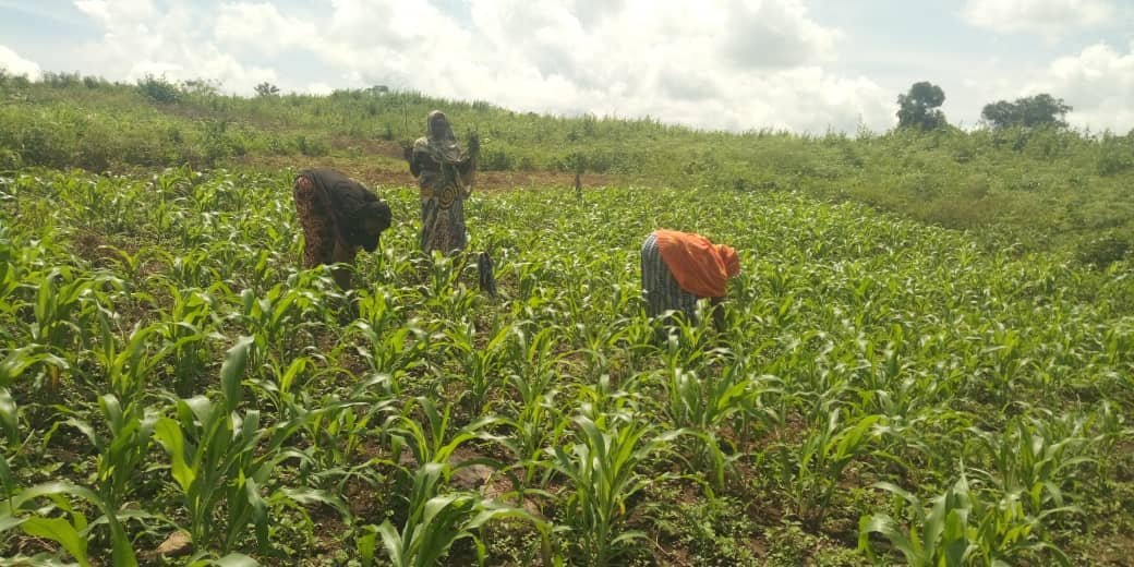 whatsapp image 2022 09 20 at 15.48.14