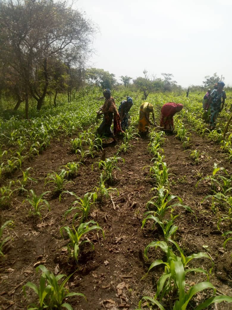 whatsapp image 2022 09 20 at 16.18.26