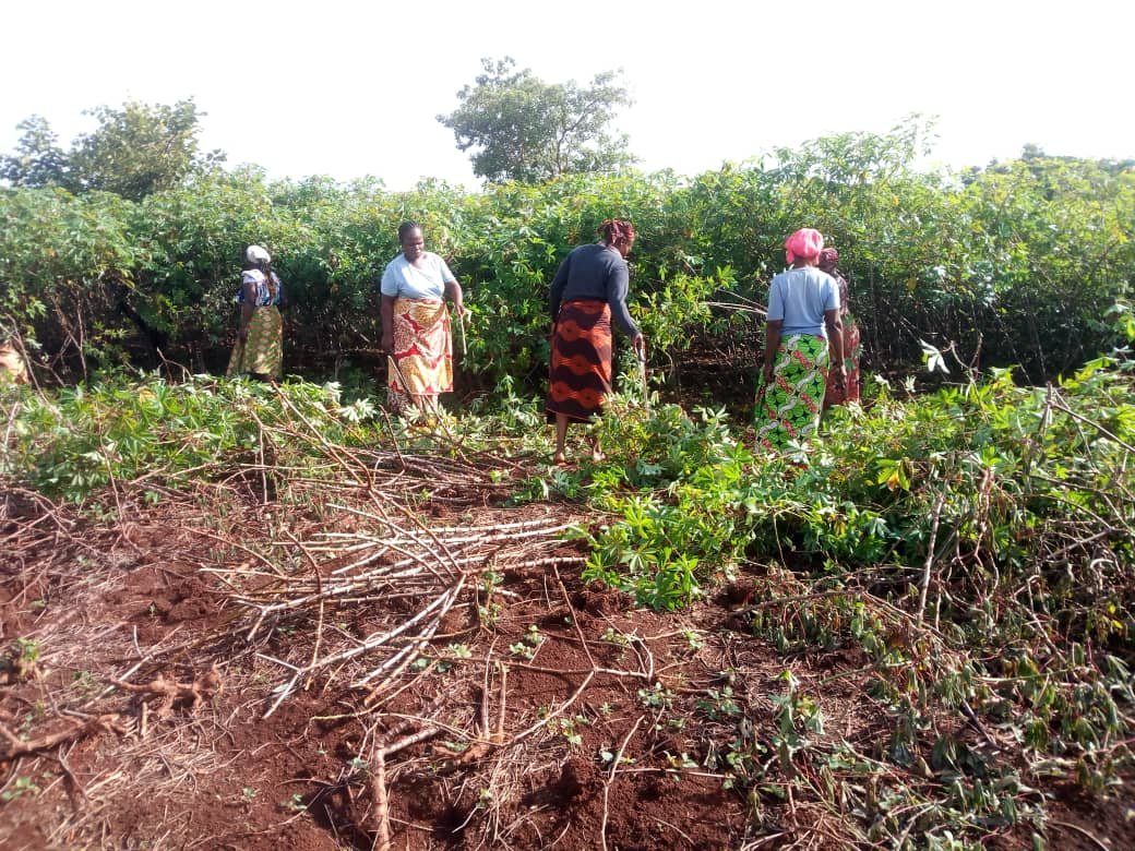 whatsapp image 2022 09 20 at 16.34.29