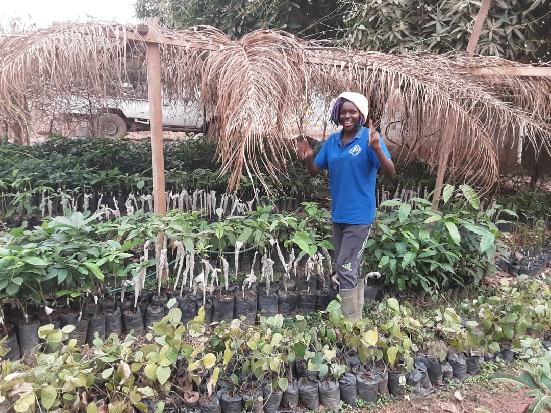 whatsapp image 2023 06 08 at 11.50.27(1)