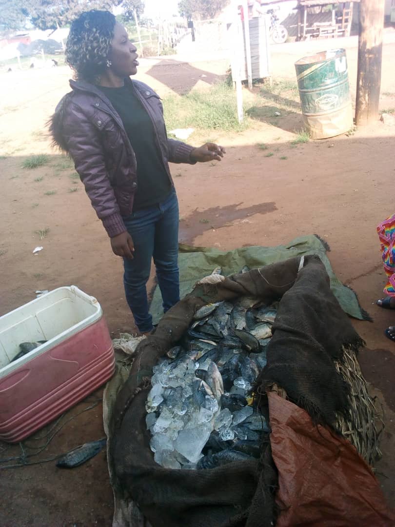 whatsapp image 2025 12 18 at 21.02.40(1)