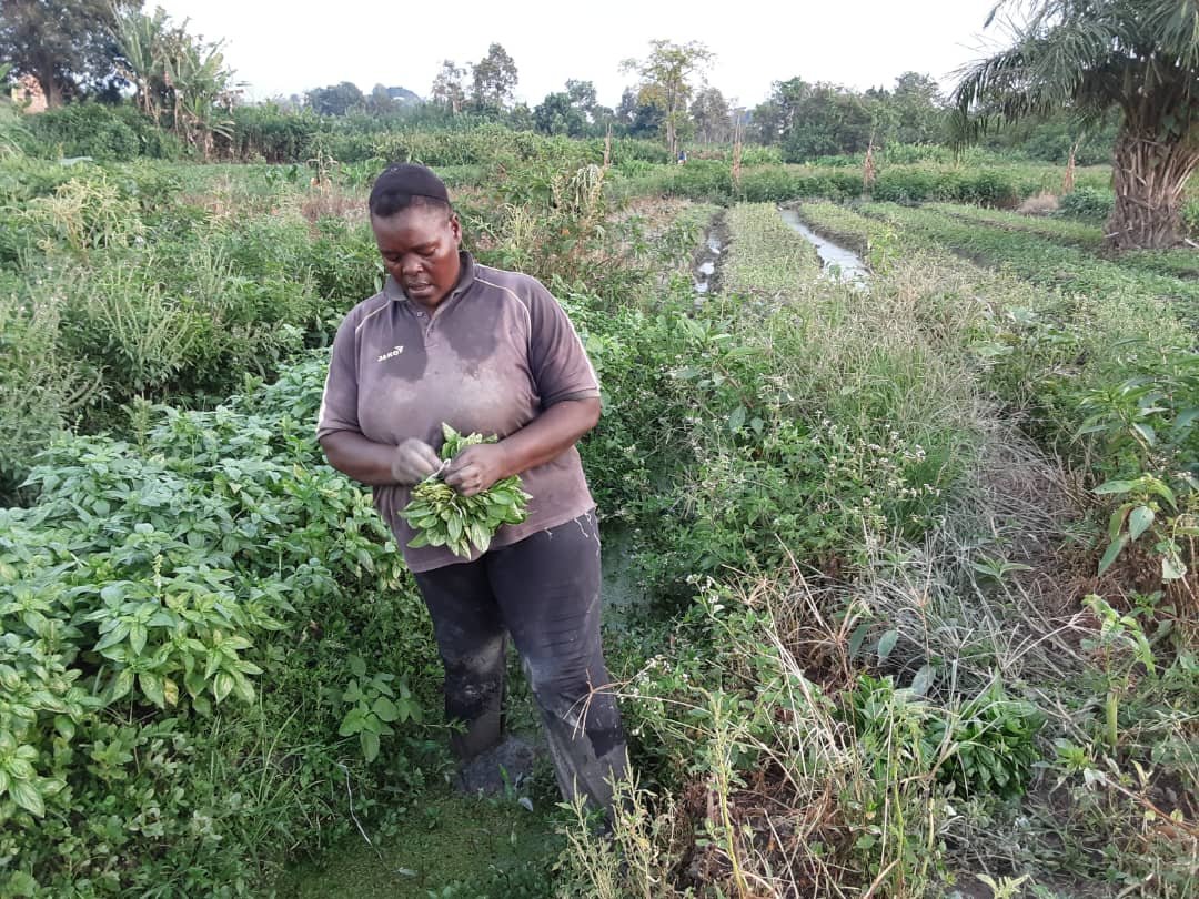 whatsapp image 2025 12 18 at 21.02.40(12)