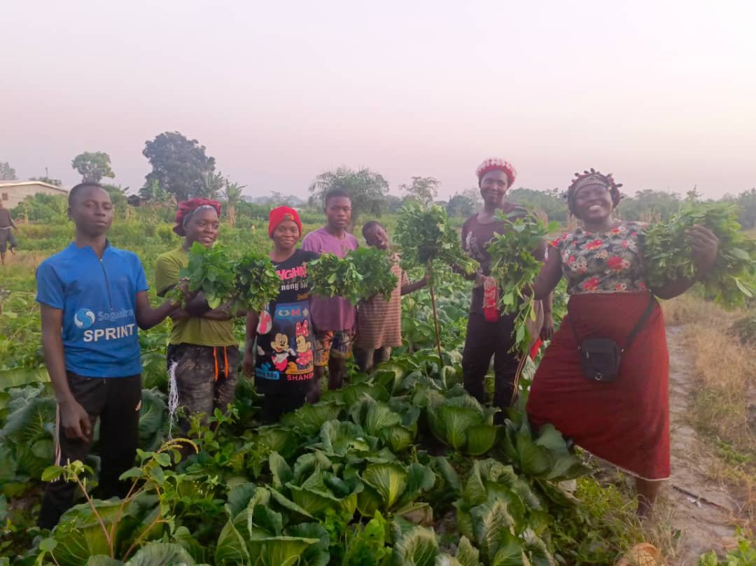 whatsapp image 2025 12 18 at 21.02.40(14)