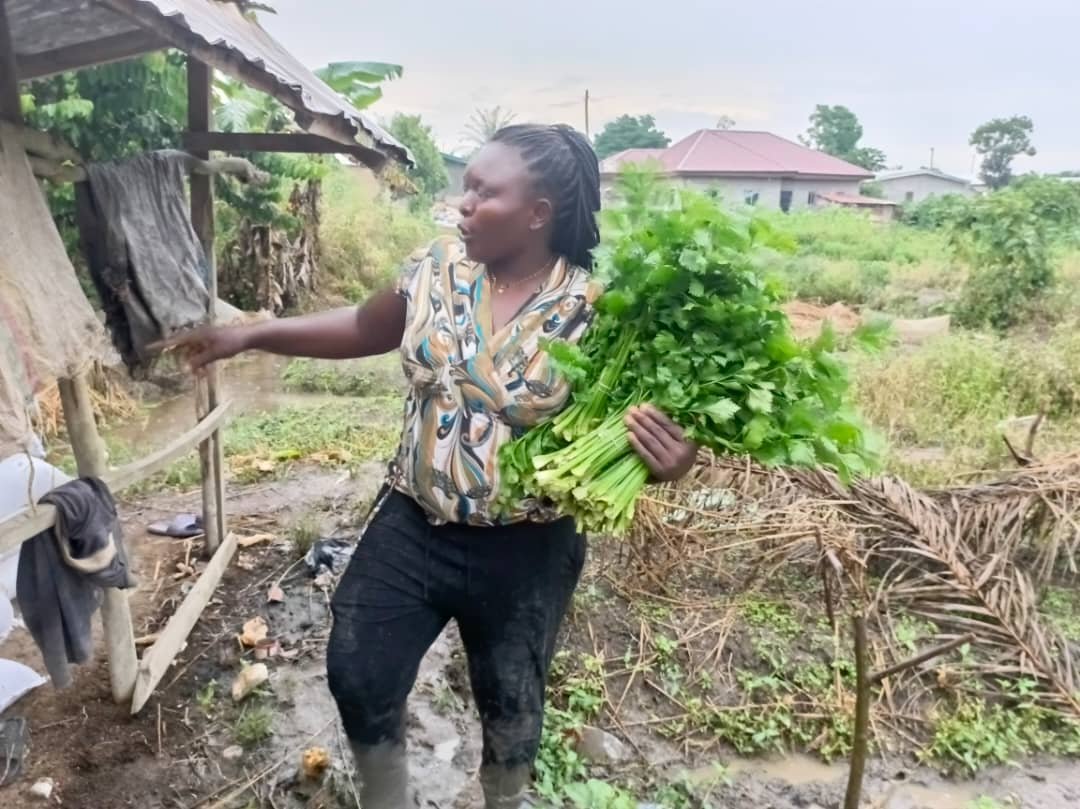 whatsapp image 2025 12 18 at 21.02.40(16)