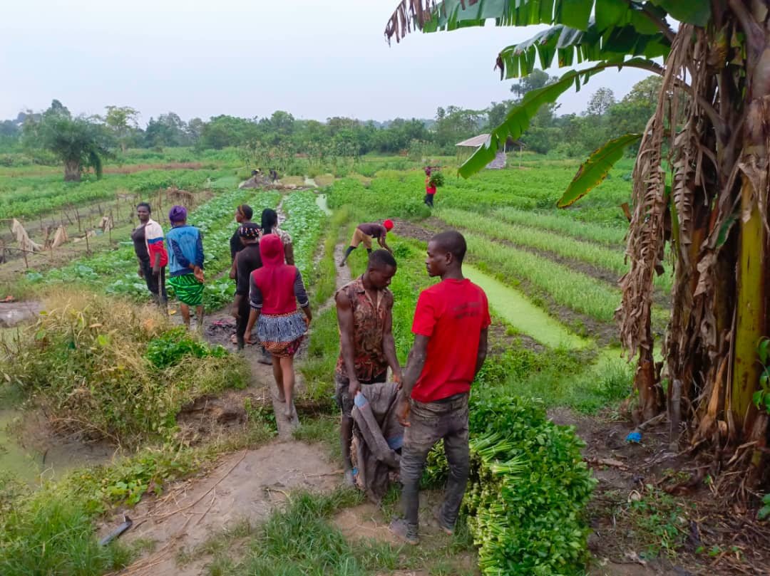 whatsapp image 2025 12 18 at 21.02.40(17)