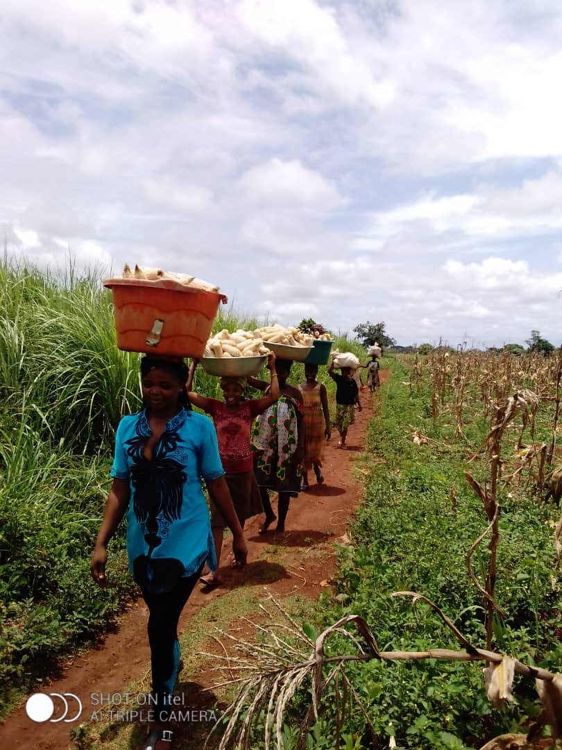 whatsapp image 2025 12 18 at 21.02.40(19)