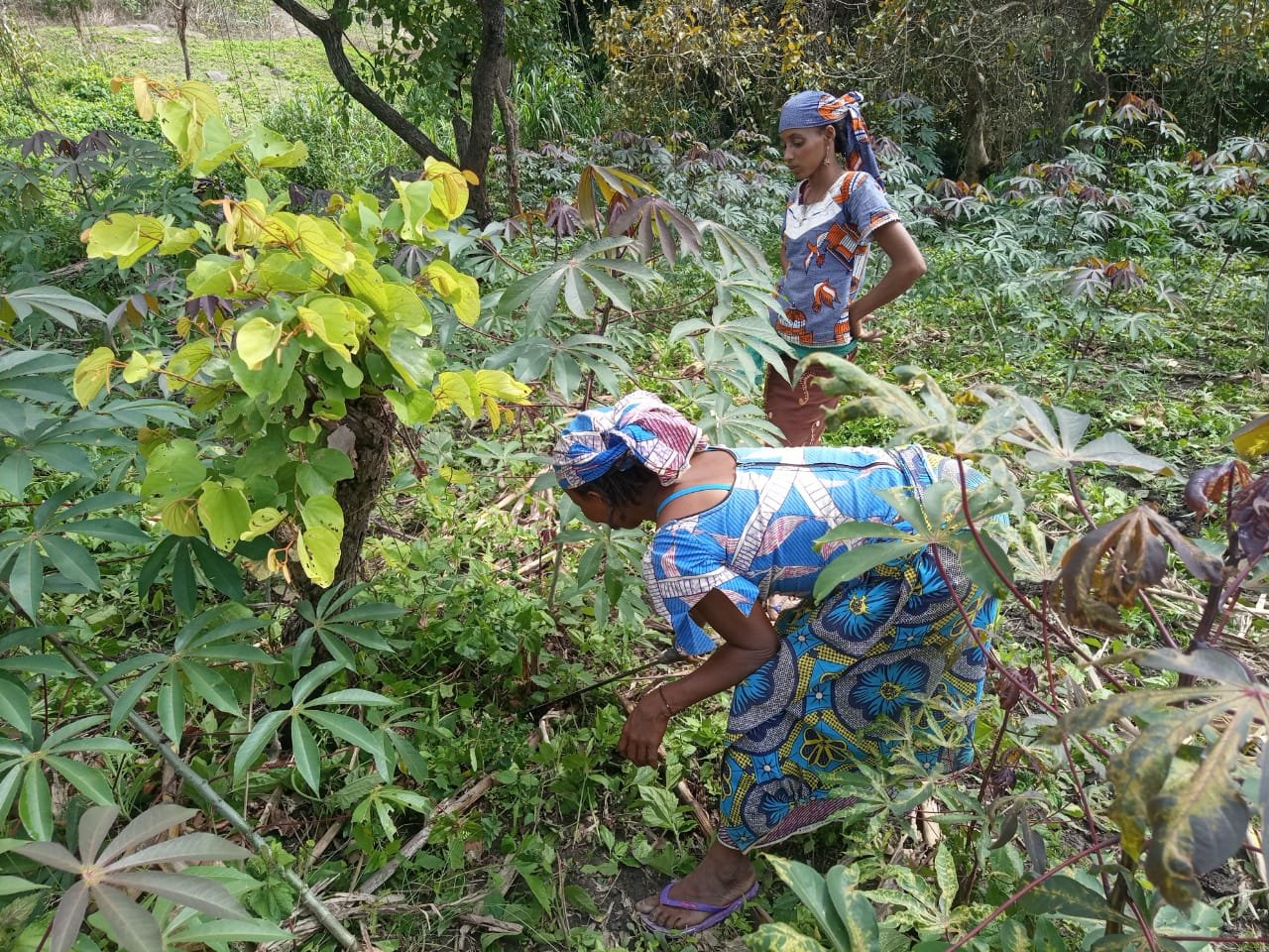 whatsapp image 2025 12 18 at 21.02.40(25)