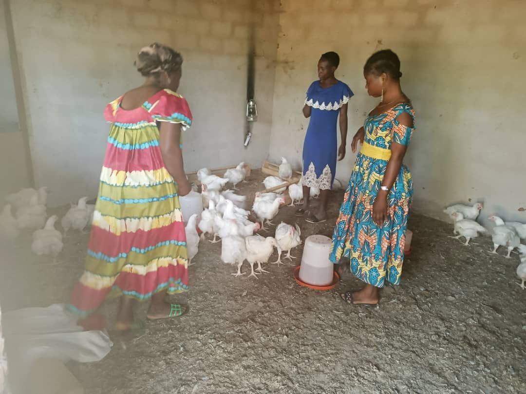 whatsapp image 2025 12 18 at 21.02.40(27)