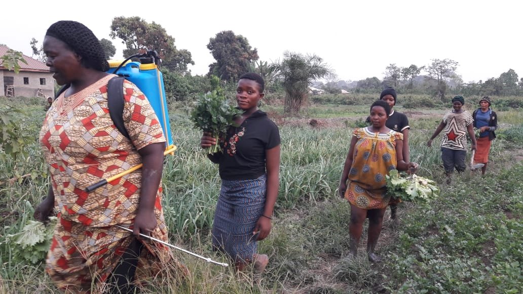 whatsapp image 2025 12 18 at 21.02.40(35)