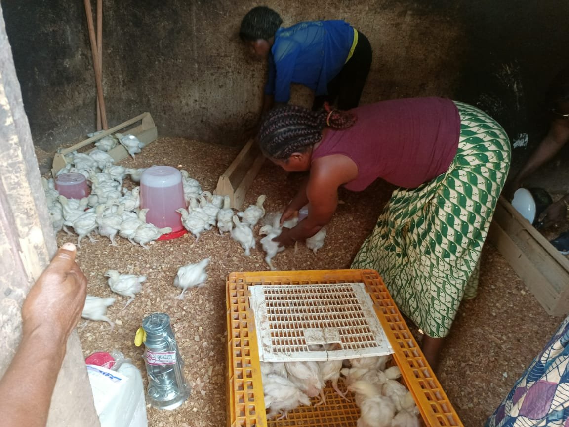 whatsapp image 2025 12 18 at 21.02.40(8)