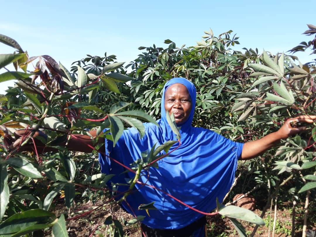 whatsapp image 2025 12 18 at 21.02.40(9)