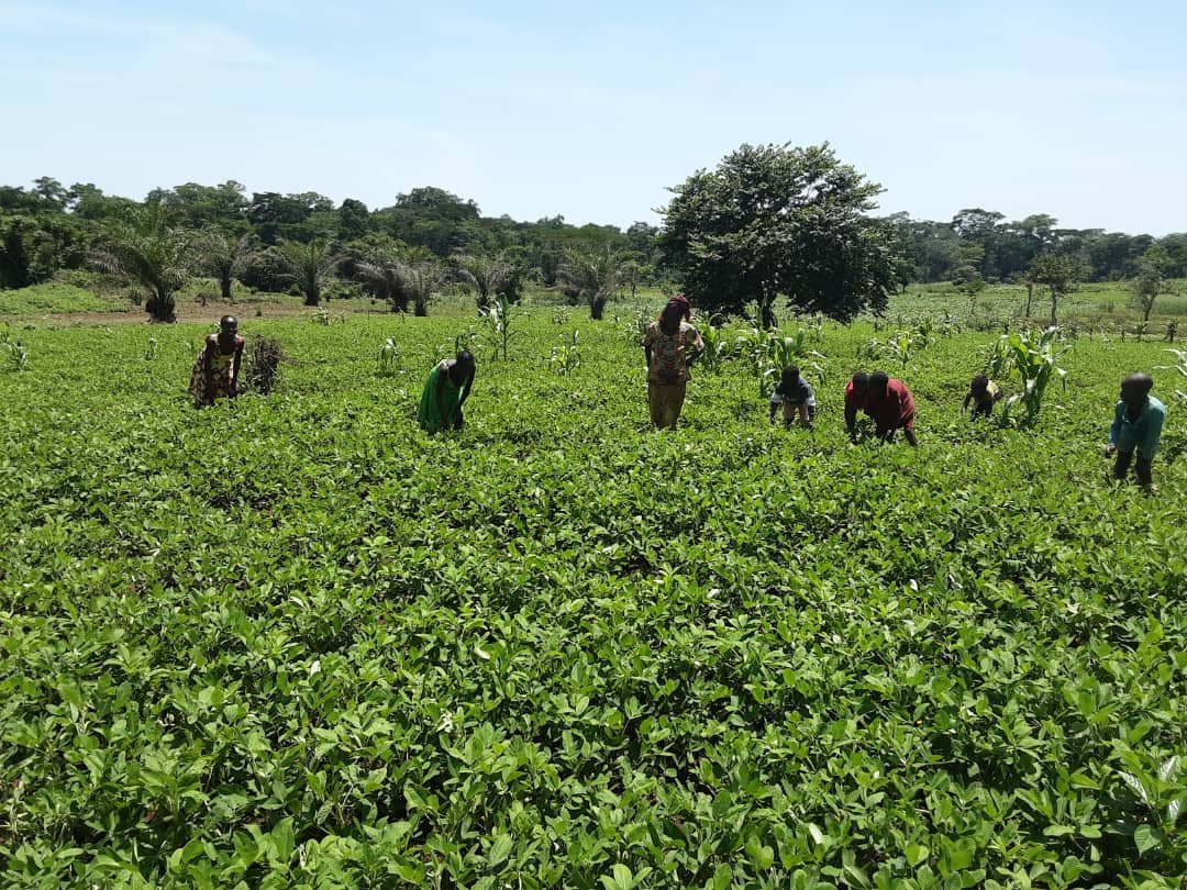 whatsapp image 2025 12 18 at 21.10.13(1)