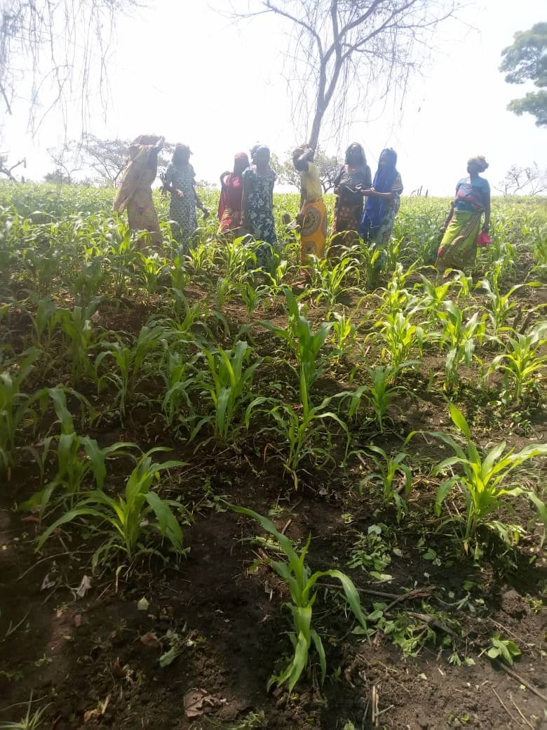 whatsapp image 2025 12 18 at 21.10.13(11)