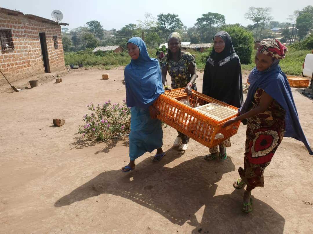 whatsapp image 2025 12 18 at 21.10.13(14)