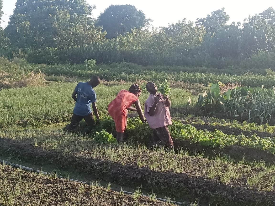 whatsapp image 2025 12 18 at 21.10.13(3)