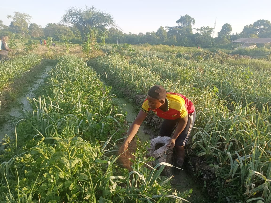 whatsapp image 2025 12 18 at 21.10.13(6)