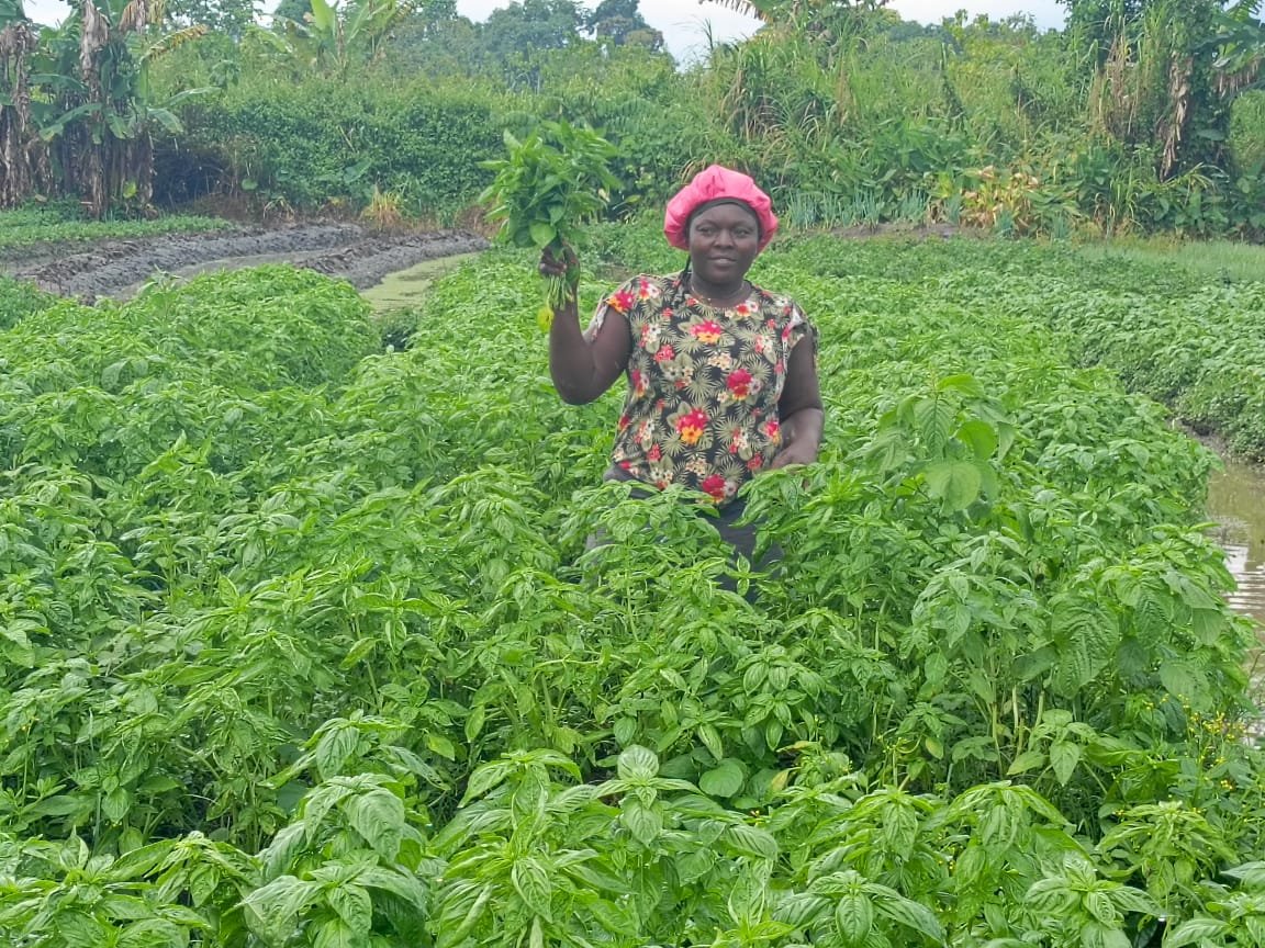 whatsapp image 2025 12 18 at 21.10.13(9)